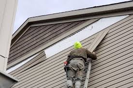 Best Siding Painting and Refinishing  in Brooksi, DE